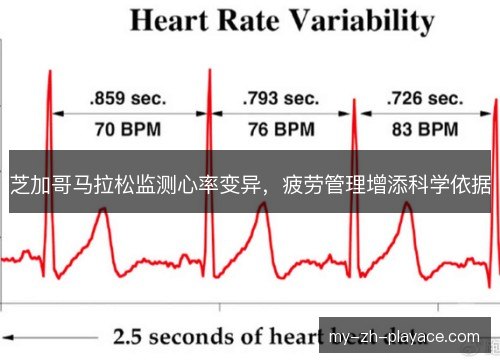 芝加哥马拉松监测心率变异,疲劳管理增添科学依据 芝加哥马拉松监测心率变异,疲劳管理增添科学依据